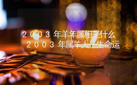 2003什麼年|2003年是什么年